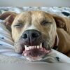 cpagecpage